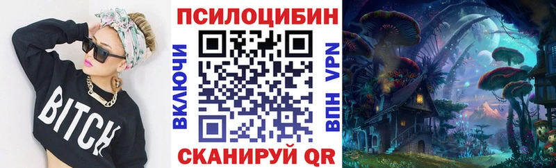 где можно купить Новозыбков Псилоцибиновые грибы мицелий