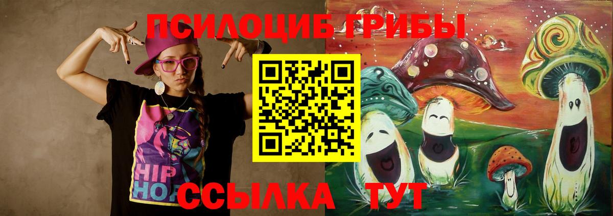 Псилоцибиновые грибы мицелий Новозыбков
